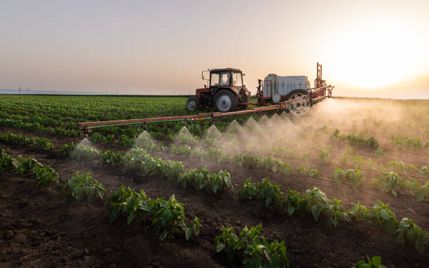 Best Pest Inspection Near Me  in Salado, TX
