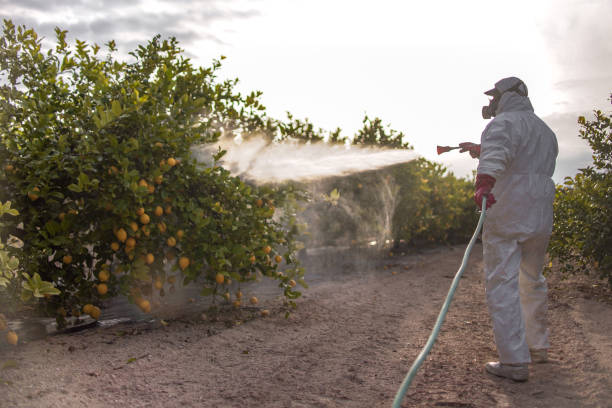 Professional Pest Control in Salado, TX