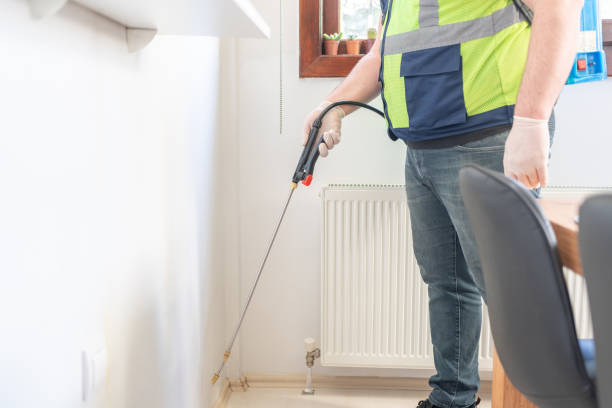 Best Ant Control Services  in Salado, TX
