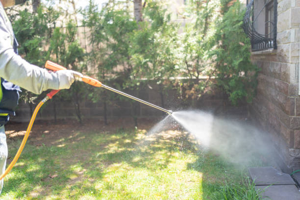 Best Emergency Pest Control  in Salado, TX