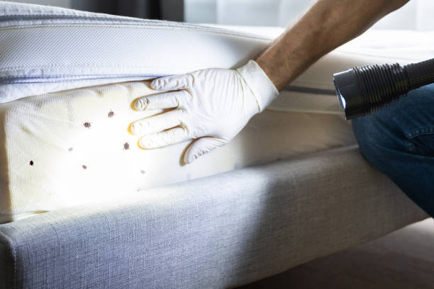 Best Pest Removal Services  in Salado, TX