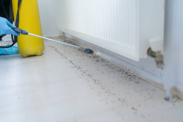 Best Best Pest Control Companies  in Salado, TX
